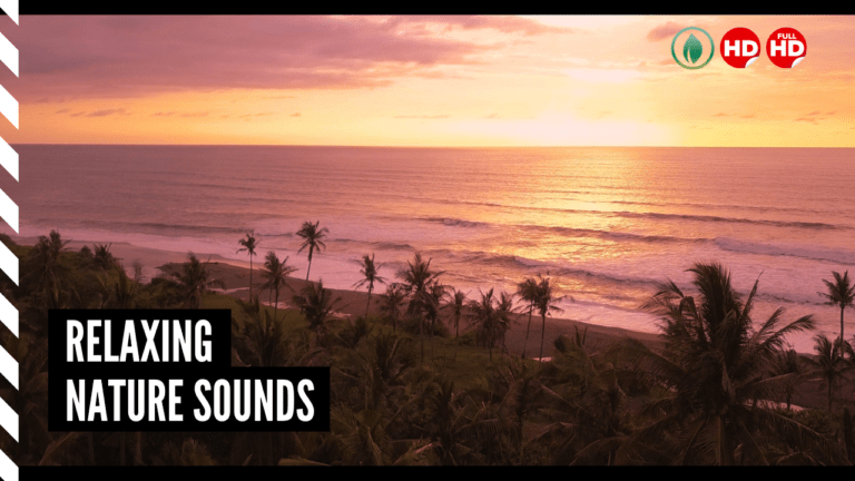 ? Beautiful Relaxing Music For Stress Relief, Meditations, Sleep ...