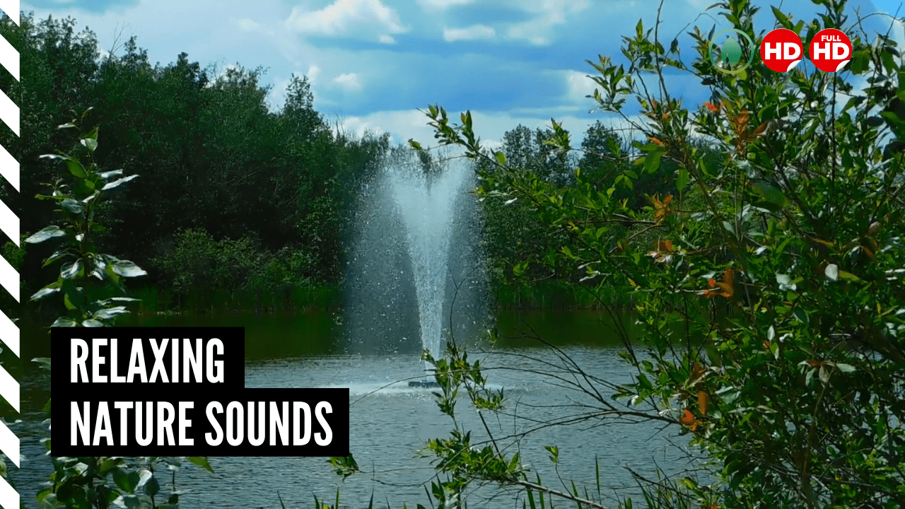 Best Relaxing Nature Sound Fountain and Water for Stress Relief, Study