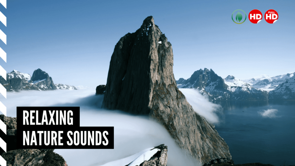 Relaxing Nature Sounds Foggy Mountain Wind and Beautiful morning View-Thumbnail