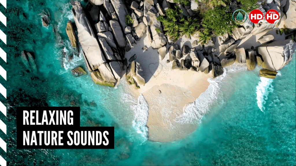 Relaxing Nature Sounds Ocean waves and Seagulls sounds for Relaxation, Sleep, and More Thumbnail